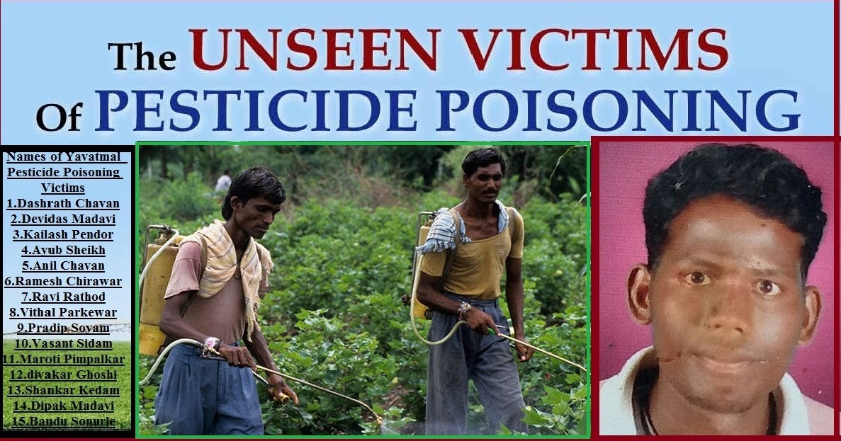 vidarbha times Yavatmal Pesticide Poisoning toll raises 15 Task