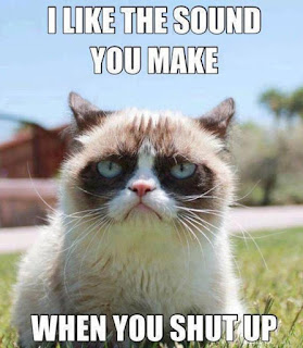 Cat Memes Photos Cat Memes Photos