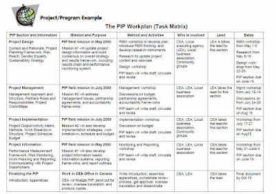 A table organizing information required and roles and responsibilities for different stages in project design, project management, project implementation, project information management, and finalizing the project implementation plan