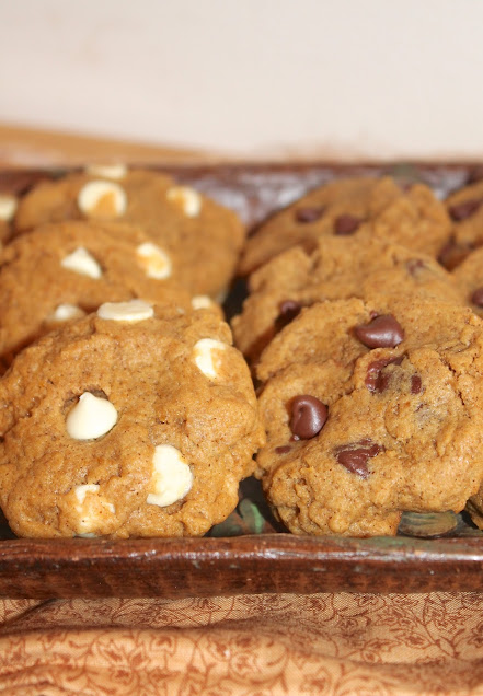 Close up view of chocolate chip pumpkin cookies.