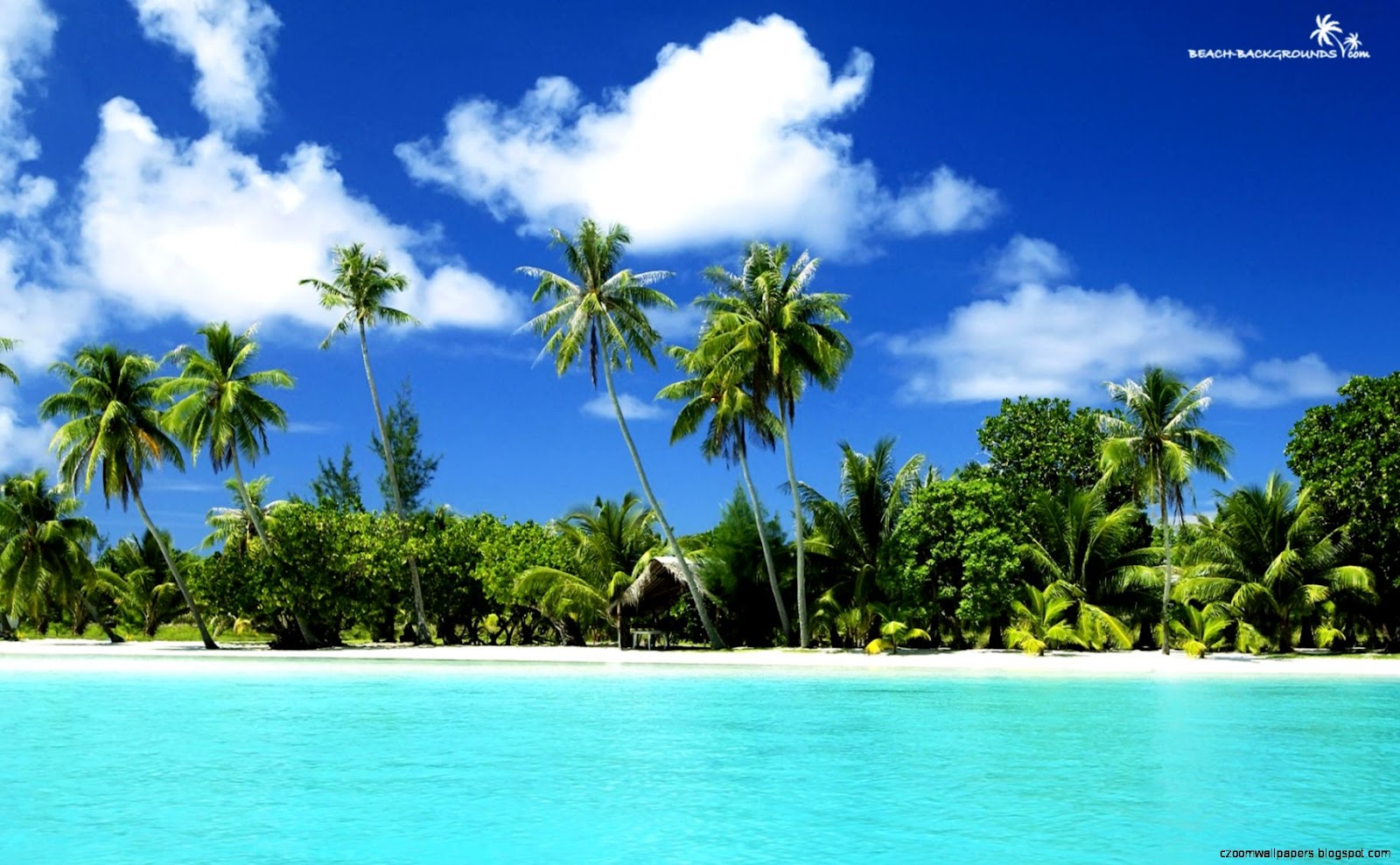 Tropical Beach Paradise