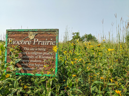 Biocore Tallgrass Prairie at UW Lakeshore Preserve Biocore Tallgrass Prairie at UW Lakeshore Preserve