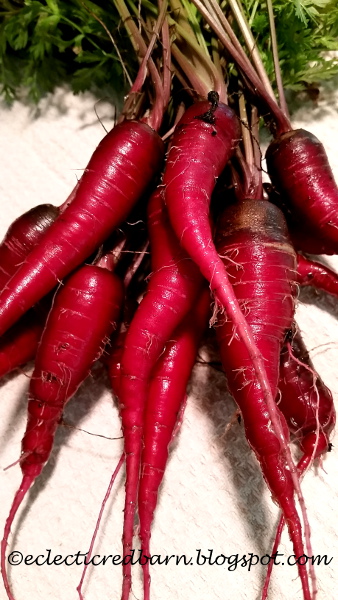 Eclectic Red Barn: Home Grown Red Carrots
