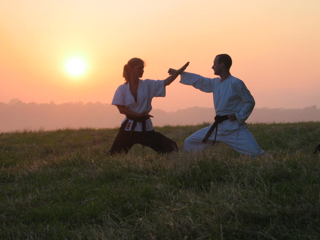 Alternative Karate Why Alternative Karate?