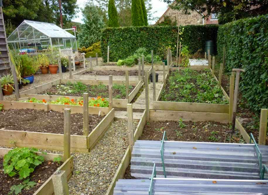 BERBAGI PENGETAHUAN Tips Membuat Kebun di Pekarangan Rumah 