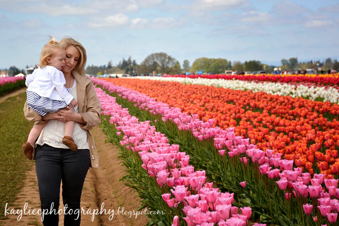 Kaylie Photography: Wooden Shoe Tulip Farm- Family Portrait's