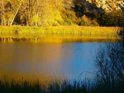 La Laguna del Marquesado. Autor: Miguel Alejandro Castillo Moya