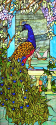 stained glass peacock nouveau mosaic birds patterns painting door windows window sculpture paon vitrail doors leaded cool square projects movements