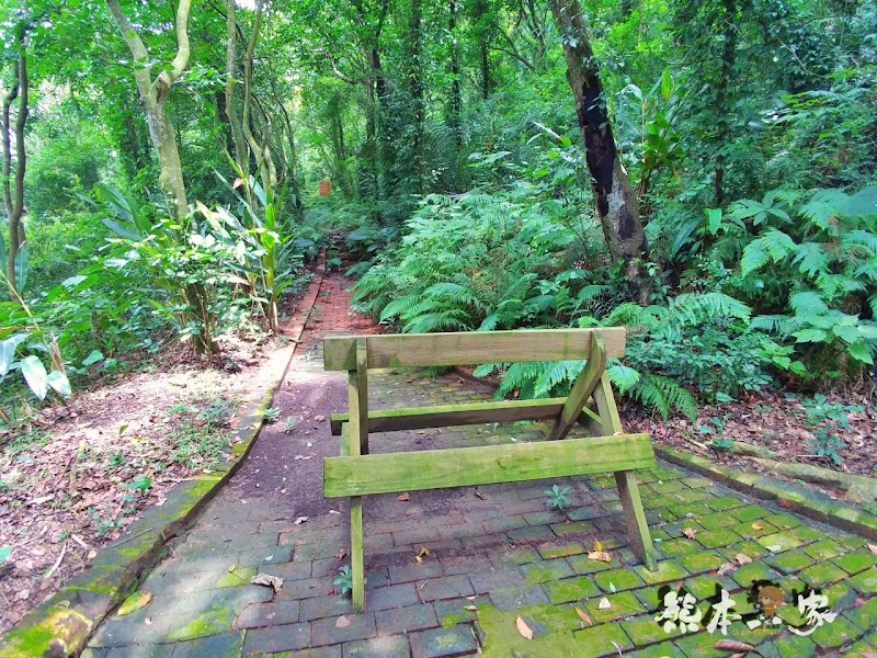 一秒到歐洲|苗栗飛牛牧場|最美牧場和大草原~野餐嬉戲觀乳牛、人工濕地護自然