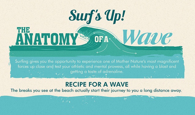 Image: Surf’s Up! The Anatomy of a Wave #infographic