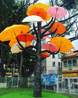 Umbrella Trees in Liittle India Little India