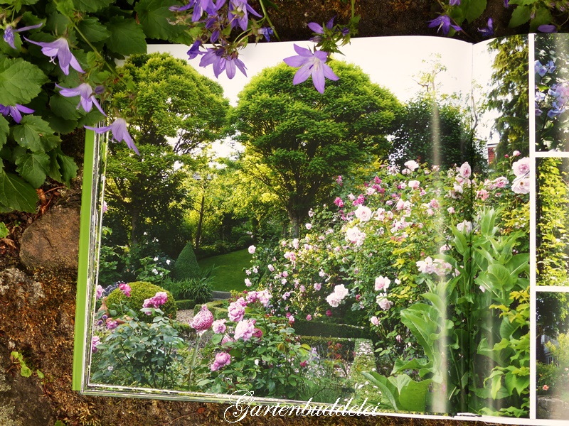 24+ frisch Fotos Mdr Mediathek Mein Garten So Wird Der