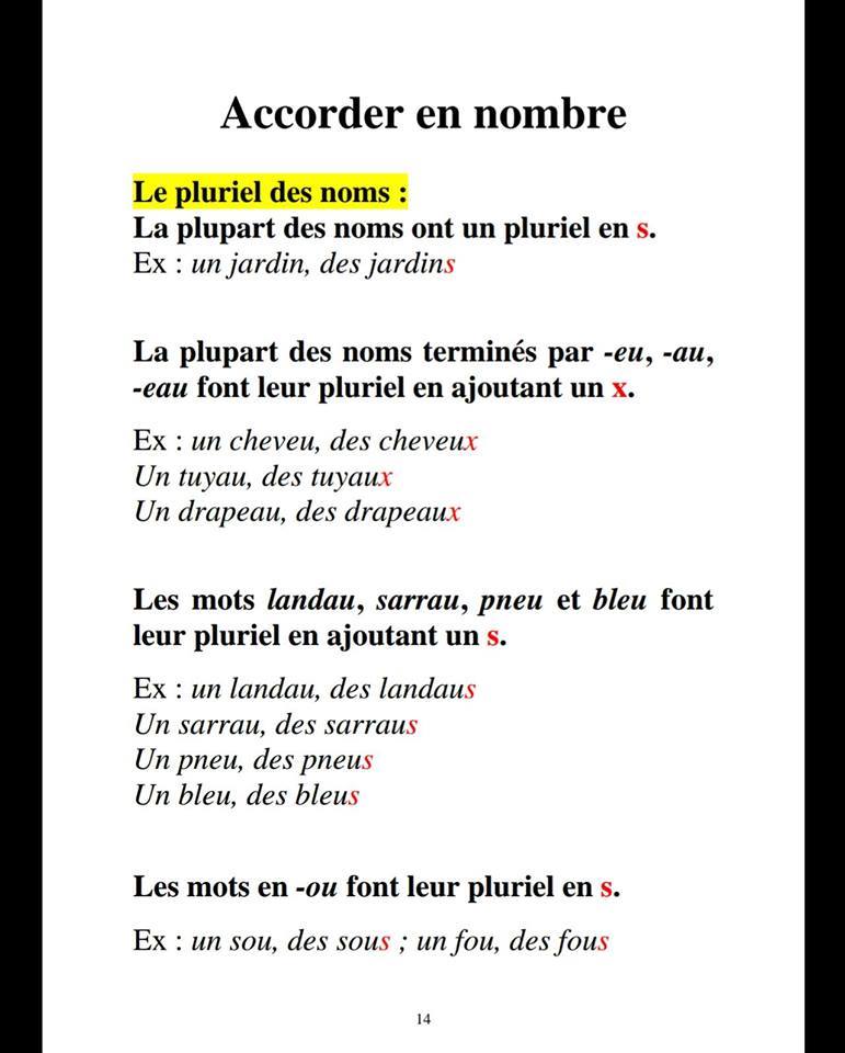 Apprenons le français : L'accord du nom en genre et en nombre
