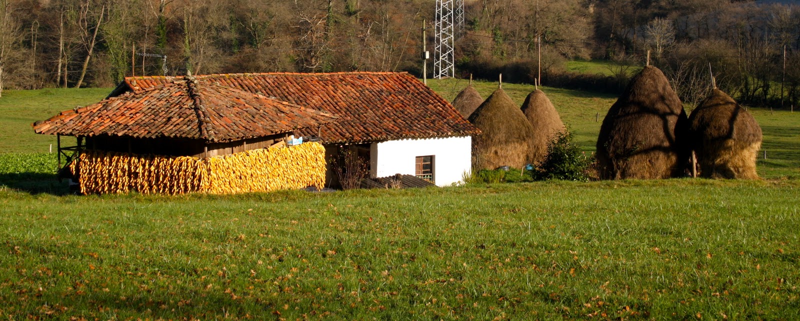 El Camino de Santiago desde Asturias: "Facina"