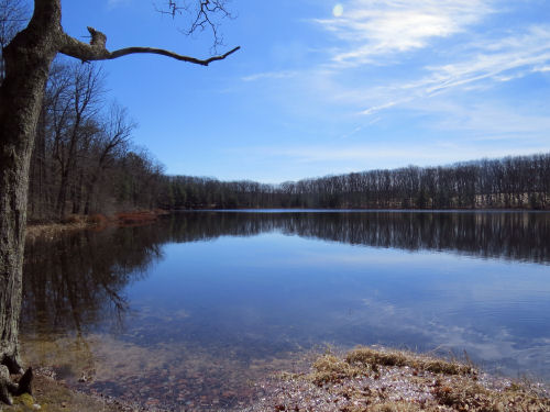 McCarthy Lake