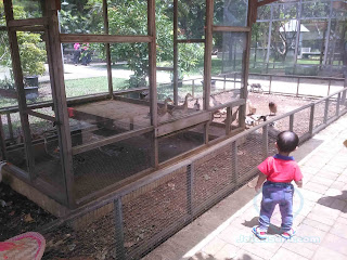 Kuntum Farm Field. Wisata Edukasi DI Kota Bogor Yang Sanat Cocok Untuk Anak