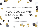 Black Friday Sweepstakes