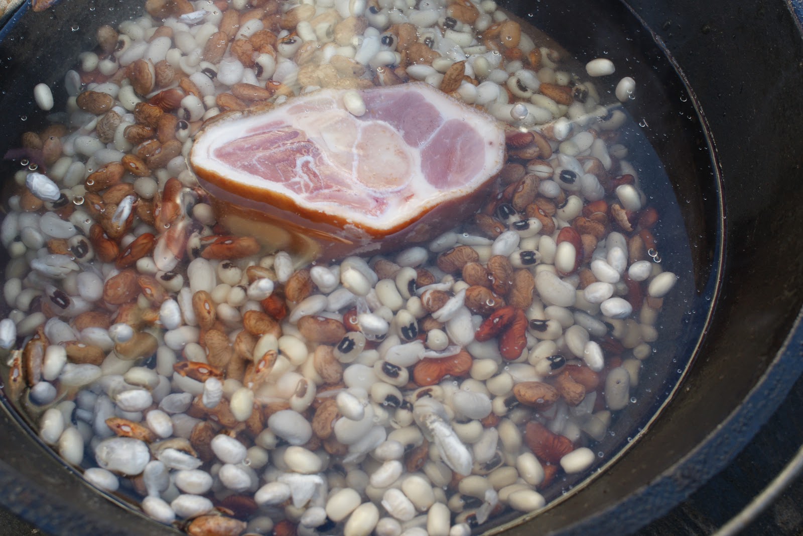 BBQ Blog Dutch Oven Beans
