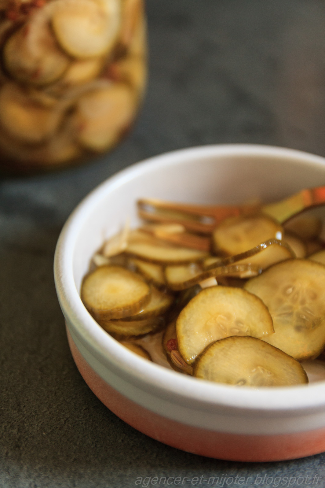 Agencer et Mijoter Pickles de
