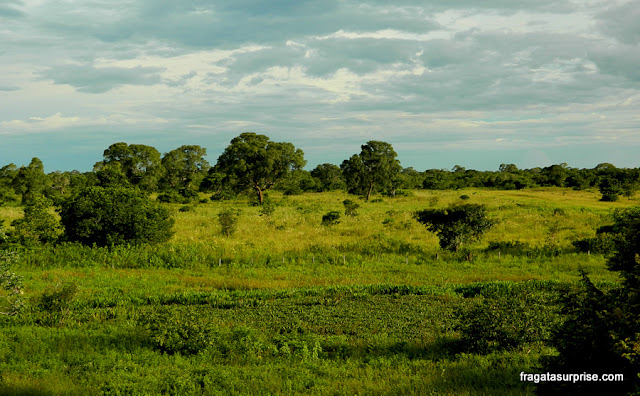 Pantanal do Mato Grosso