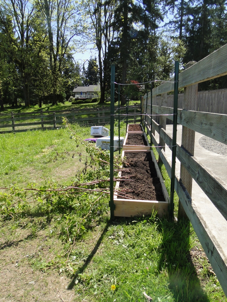 Garden Scrapbook Raspberry Raised Beds Part 2
