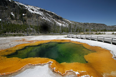 Yellowstone National Park, USA