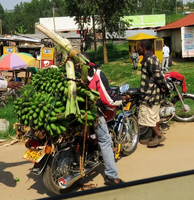 Matoke on a motorcycle in Uganda