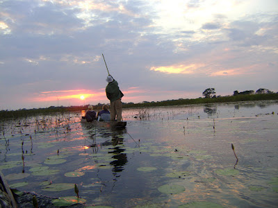 Zachód słońca na Okawango