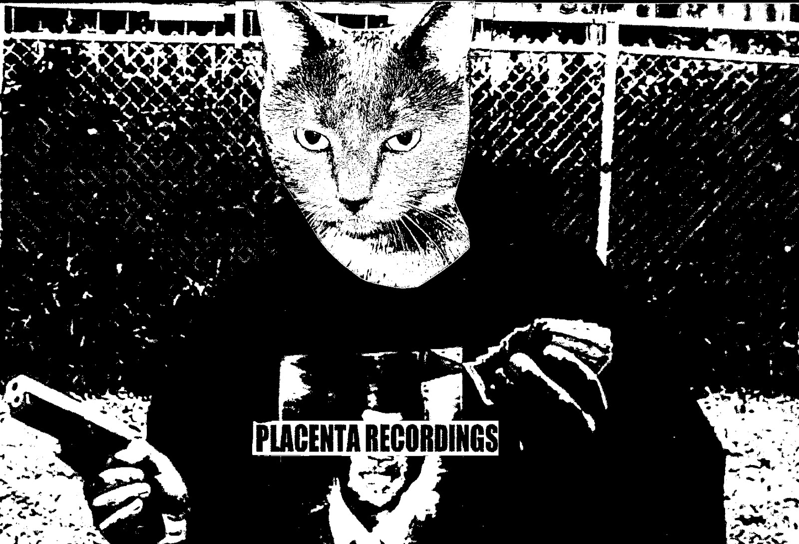 Placenta Recordings: July 2011