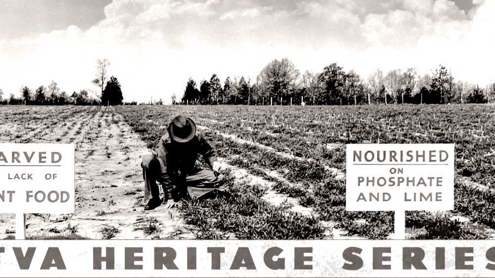 History of fertilizer