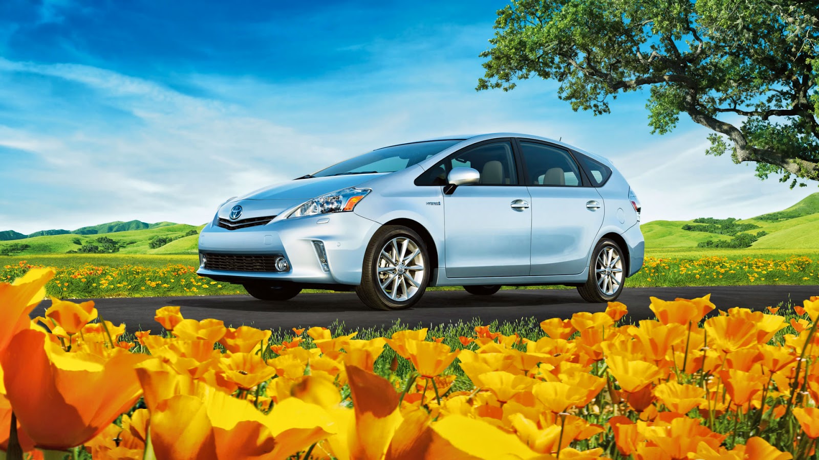 Stokes Brown Toyota >> Stokes Brown Toyota of Hilton Head: Driving With A Green Thumb: the 2015 Toyota Prius Stokes Brown Toyota >> Stokes Brown Toyota of Hilton Head: Driving With A Green Thumb: the 2015 Toyota Prius