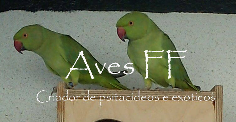 Aves FF