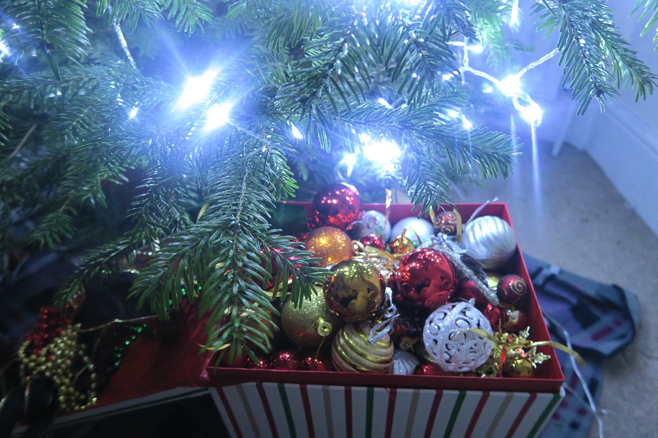 1st UK Real Christmas Tree with Pines and Needles, St Albans Review