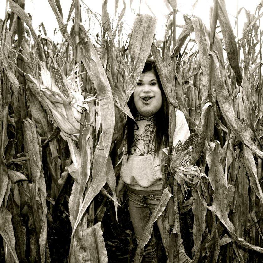 кукурузное поле арт. ужасы кукурузное поле. долина дьявола (2022). кукурузное поле ночью. клаустрофобы.