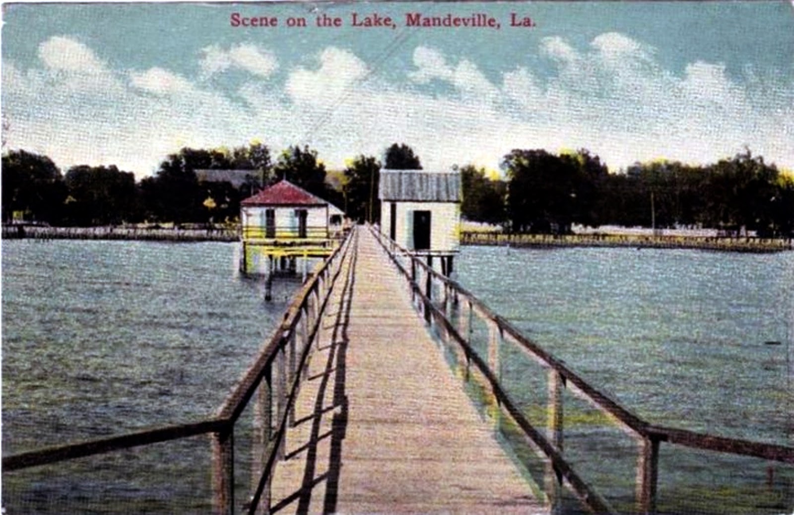 Tammany Family Postcards Showing View of Mandeville Lakefront