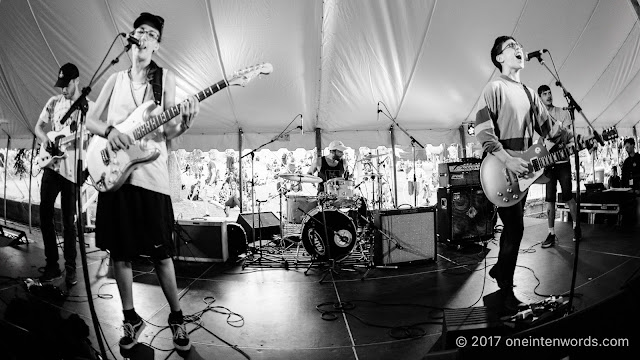 Partner at Riverfest Elora 2017 at Bissell Park on August 19, 2017 Photo by John at One In Ten Words oneintenwords.com toronto indie alternative live music blog concert photography pictures