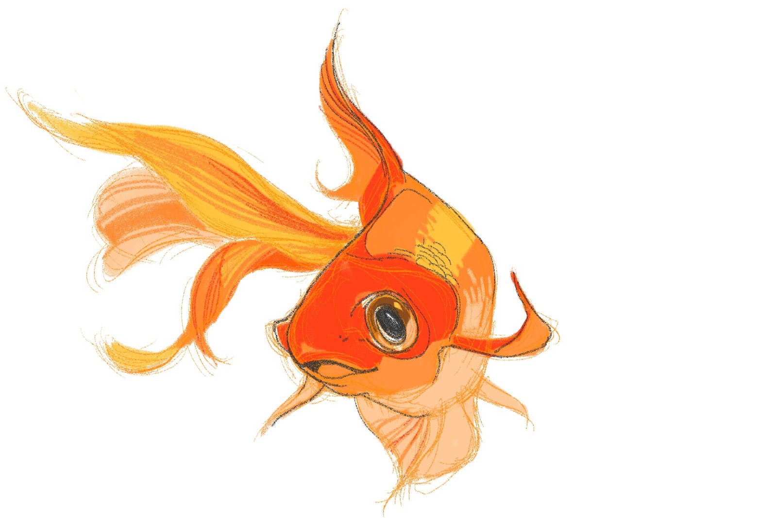 Character Design: Goldfish.