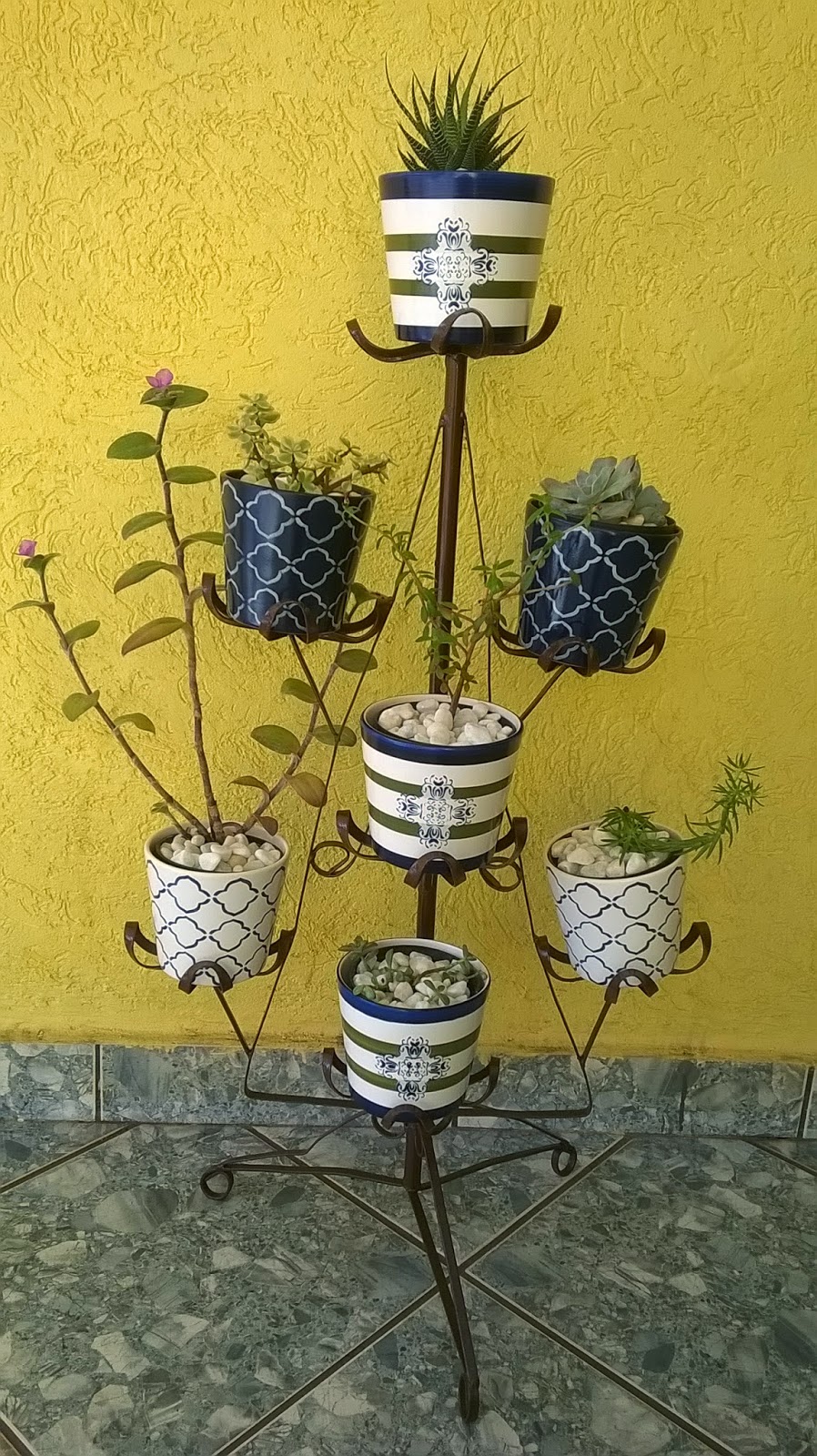 Meu Toque Verde Suculentas Uma Paixao