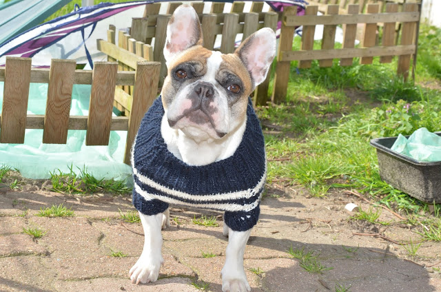 Marinière spéciale bouledogue francais fait main - Oh My Boubous