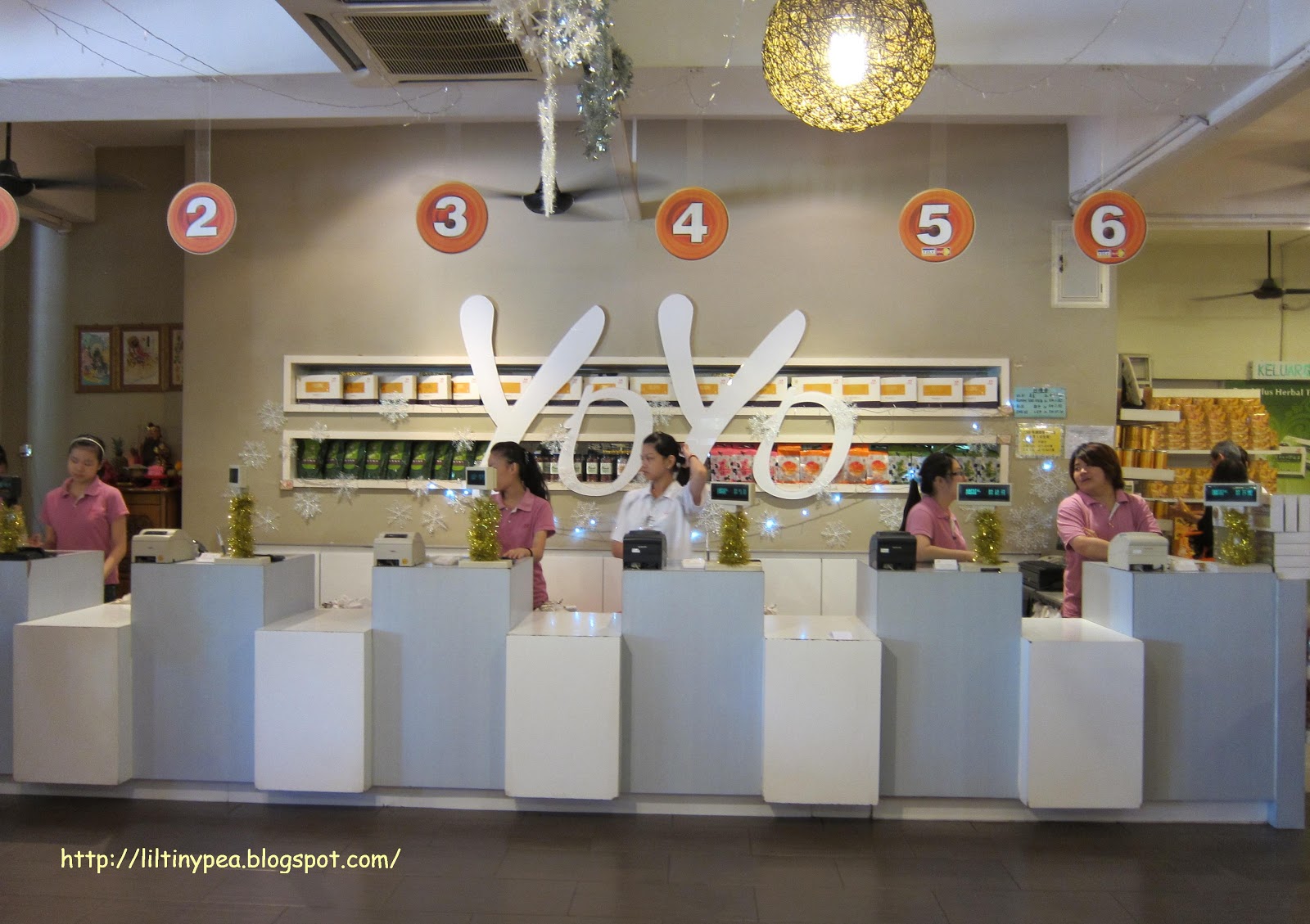 Tiny Pea's Travel & Foodie experiences [Travel] JB 1 day Temple Tour