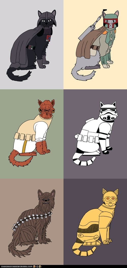 cats as star wars characters