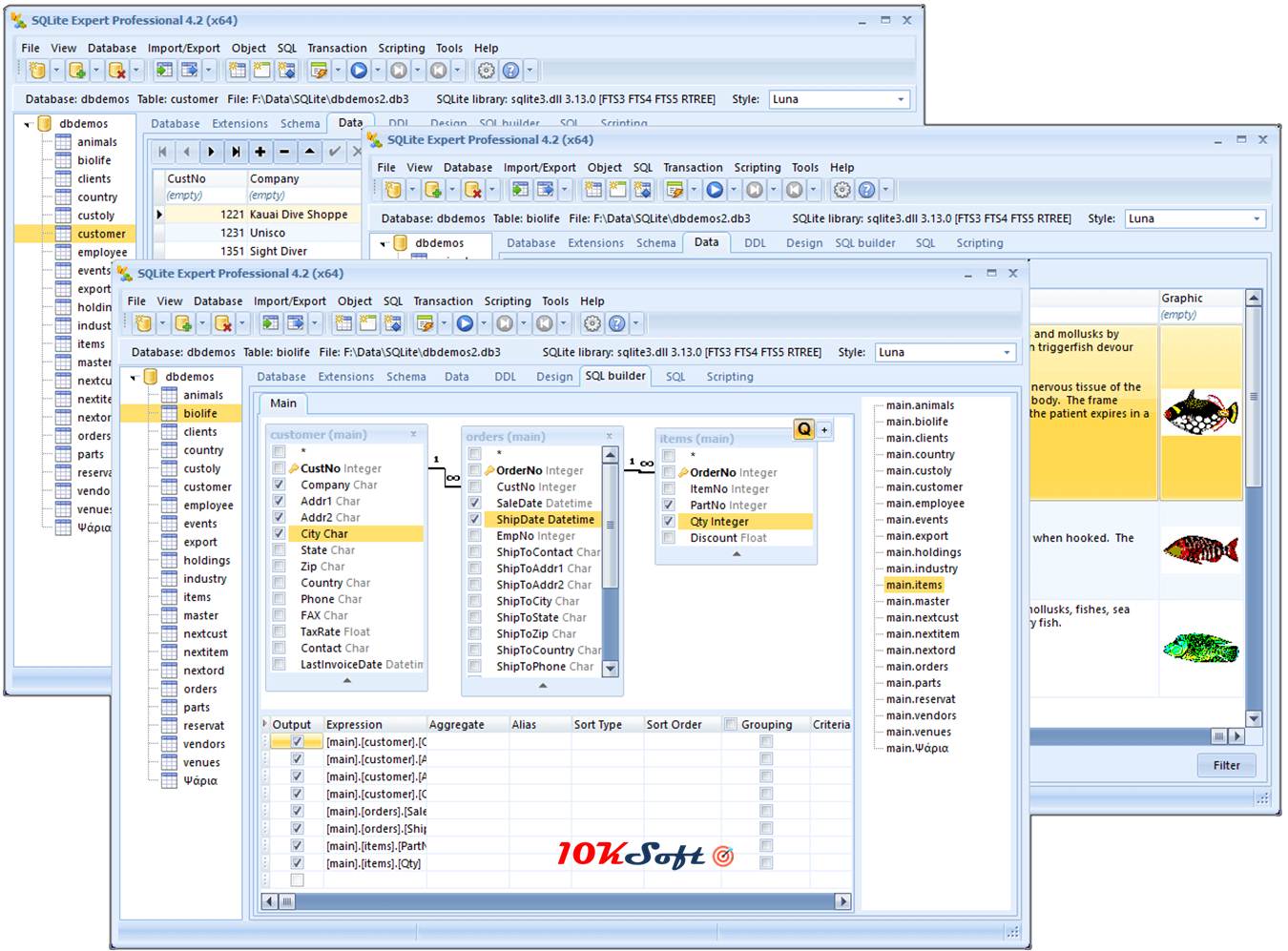 SQLite Expert Professional Edition Offline Setup Offline Setup of SQLite Expert Professional Edition