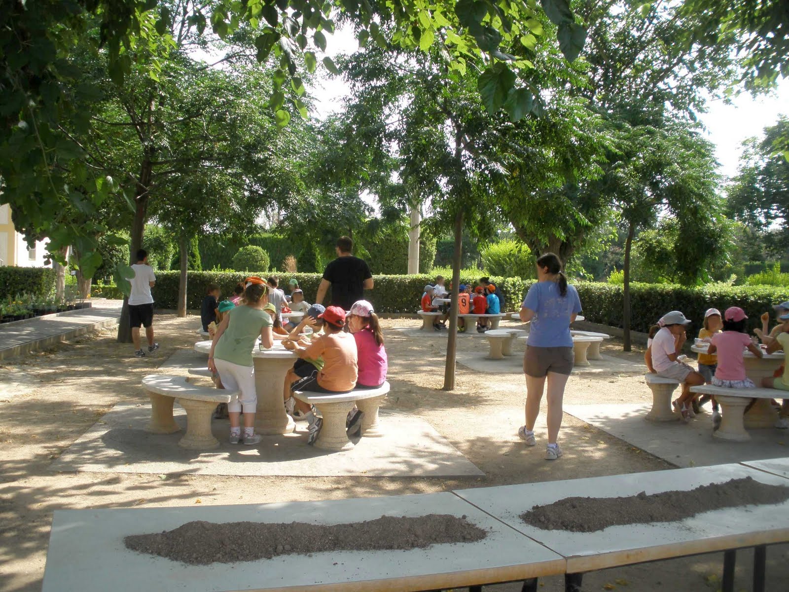 Escuela Municipal de Jardinería "El Pinar": PASA UNA MAÑANA EN EL