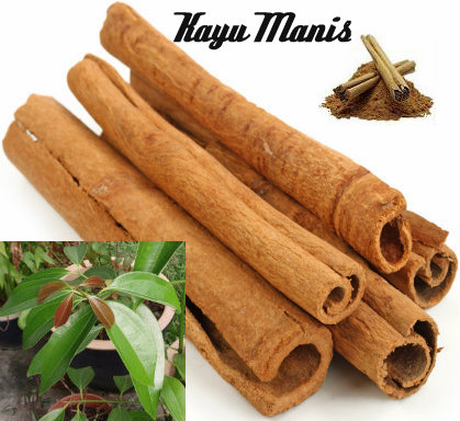  Kayu  Manis  Cinnamomum cassia Presl Education Articles