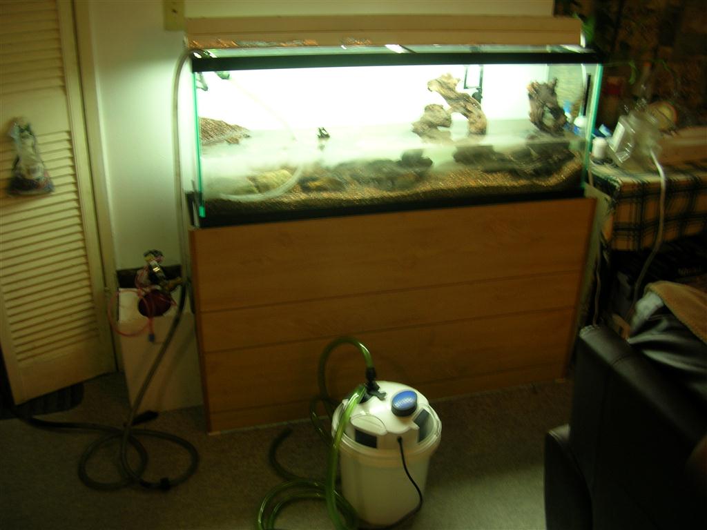 Planted Aquarium External filter testing