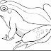 Best Realistic Ocean Animals Coloring Pages Pictures