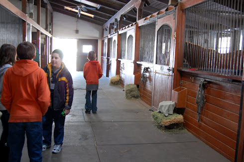Inside the Cherry Knoll Farm's stables