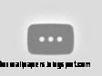 Spongebob Squarepants Cartoon Network  Wallpapers Collection