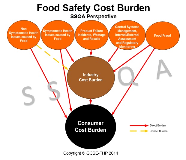 GCSE-Food & Health Protection : Diagramatic Representation of the Food