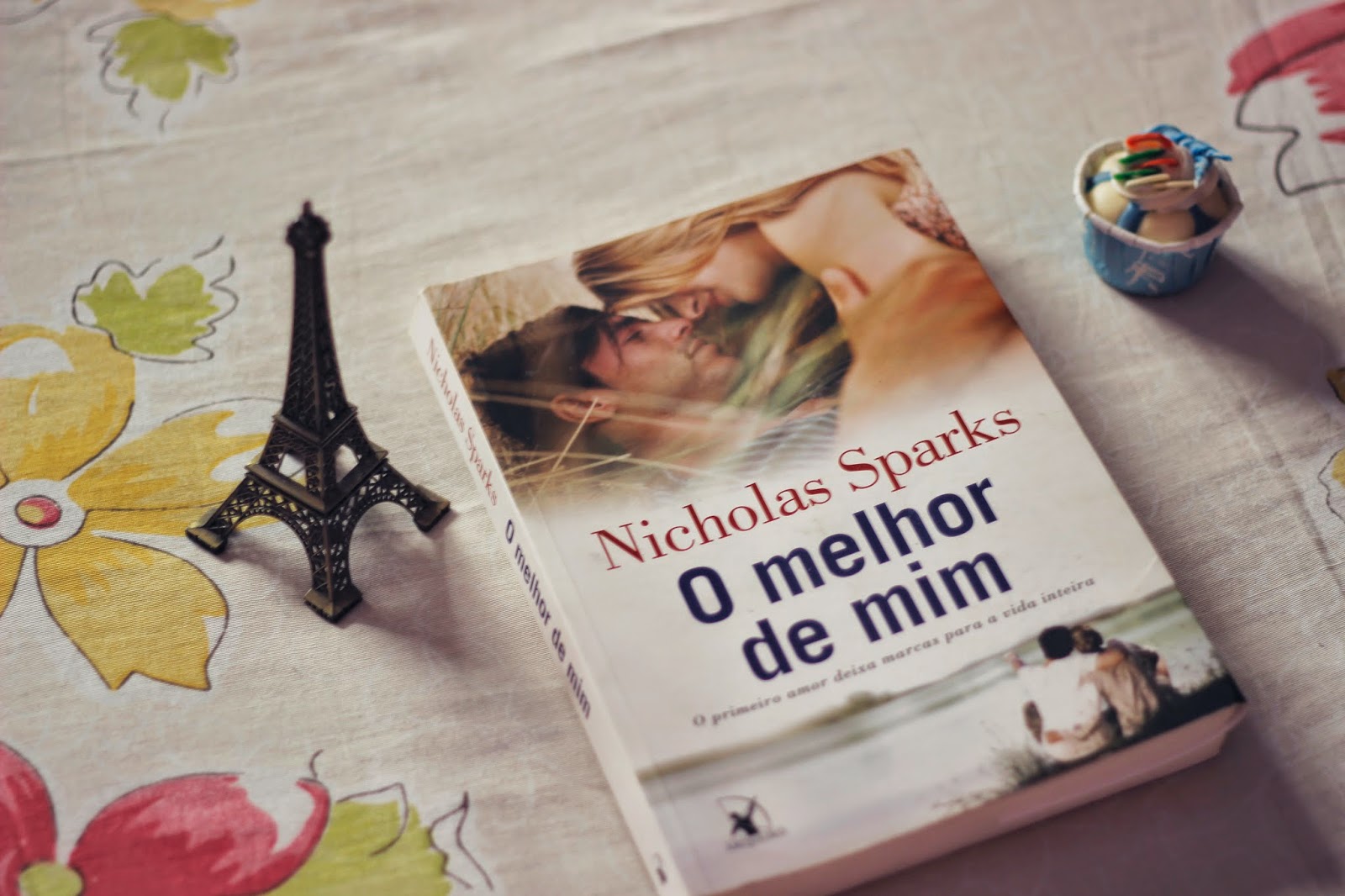Resenha O Melhor de MimNicolas Sparks